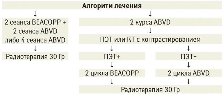 Руководство гомеопатического лечения